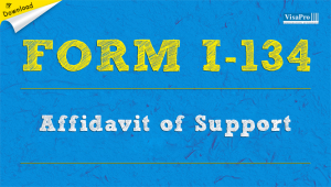 uscis form i 134 visapro form i 134 download