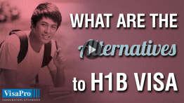 What Can You Do After H1B Cap Has Reached?