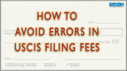 Tips To Avoid Errors In USCIS Filing Fees.