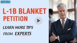 Learn More Tips From Experts About Blanket L Petitions.