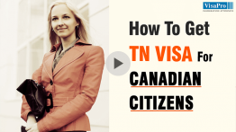 Requirements To Secure TN Visa For Canadian Citizens.