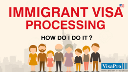 Immigrant Visa Processing How Can I Do It?