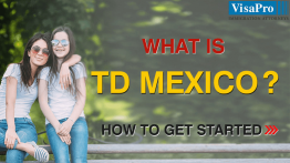 TD Visa Benefits And Procedure For Mexican Citizens.