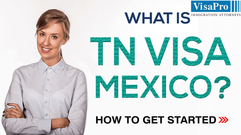 All About TN Visa Requirements For Mexican Citizens.