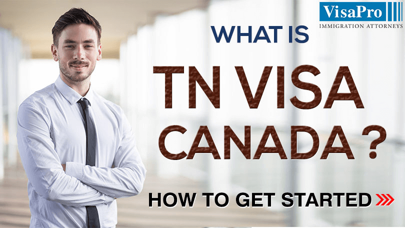 Learn About TN Visa For Canadian To Work In USA.