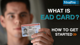 Procedure And Steps For Filing EAD.
