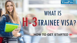 How To File H3 Trainee Visa To USA.