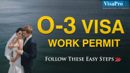 Easy Steps To File O3 Visa Work Permit.