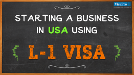 How To Start Business In America On L1 Visa