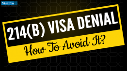 214B Visa Rejection: What Should You Do?