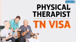 Physical Therapist TN Visa For Canadian And Mexican Citizens.