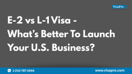 E-2 vs L-1 Visa: What’s Better To Launch Your U.S. Business?