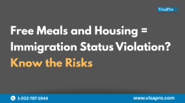 A Free Lunch Could Cost Your Immigration Status