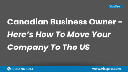 Build Across Borders with the L-1 Visa Canada Path