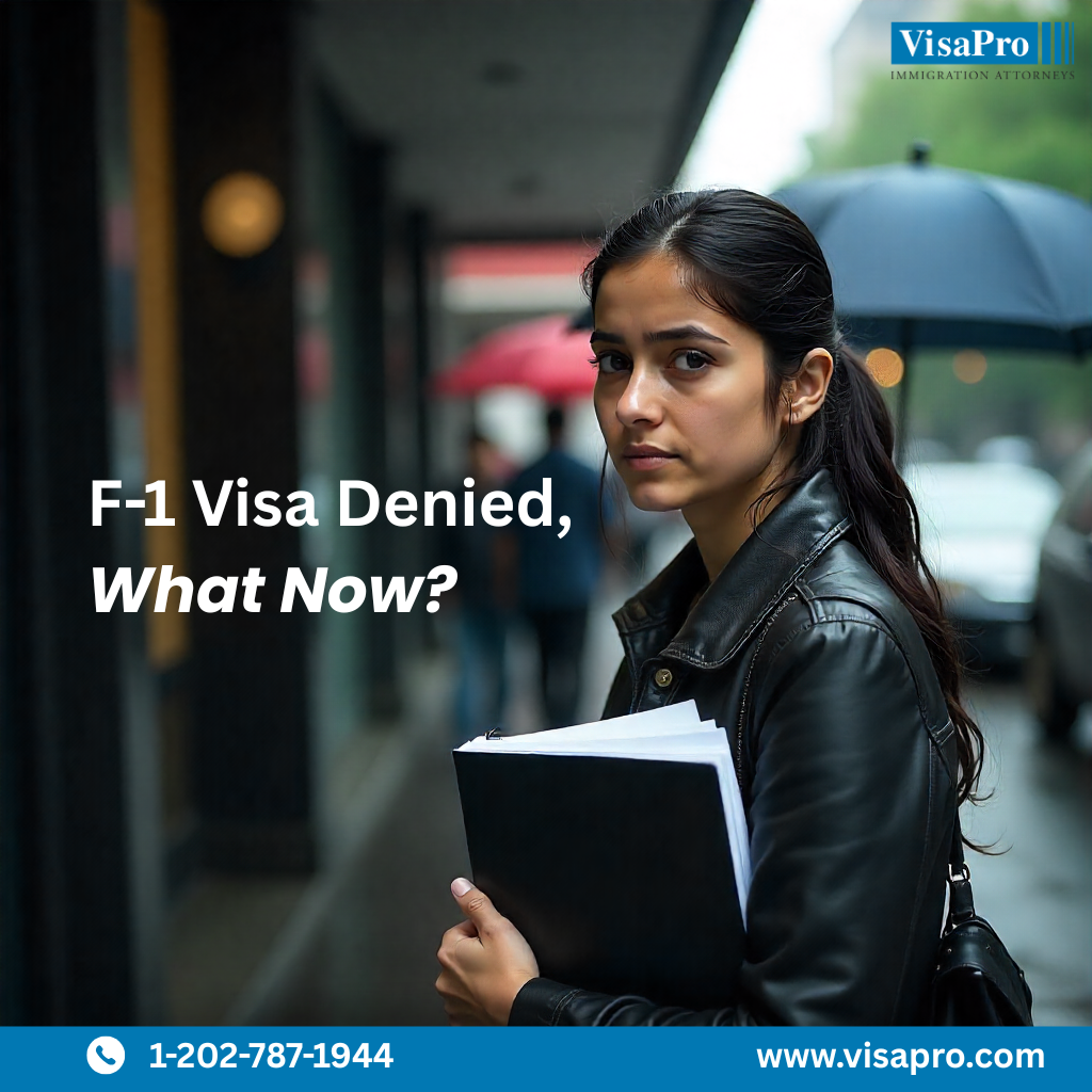  F-1 Visa Denied, What to Do Next