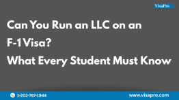 LLC on F-1 Visa: What You Can (and Can’t) Do
