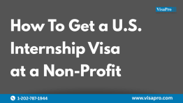 How to Get a U.S. Internship Visa at a Non-Profit