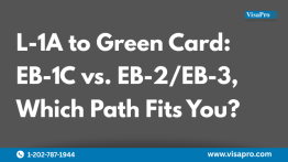L-1A to Green Card: EB-1C vs. EB-2/EB-3 – Which Path Fits You?