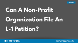 Can A Non-Profit Organization File An L-1 Petition?