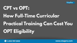 CPT vs OPT: How Full-Time Curricular Practical Training Can Cost You OPT Eligibility