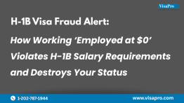 H-1B Visa Fraud Alert: How Working ‘Employed at $0’ Violates H-1B Salary Requirements and Destroys Your Status